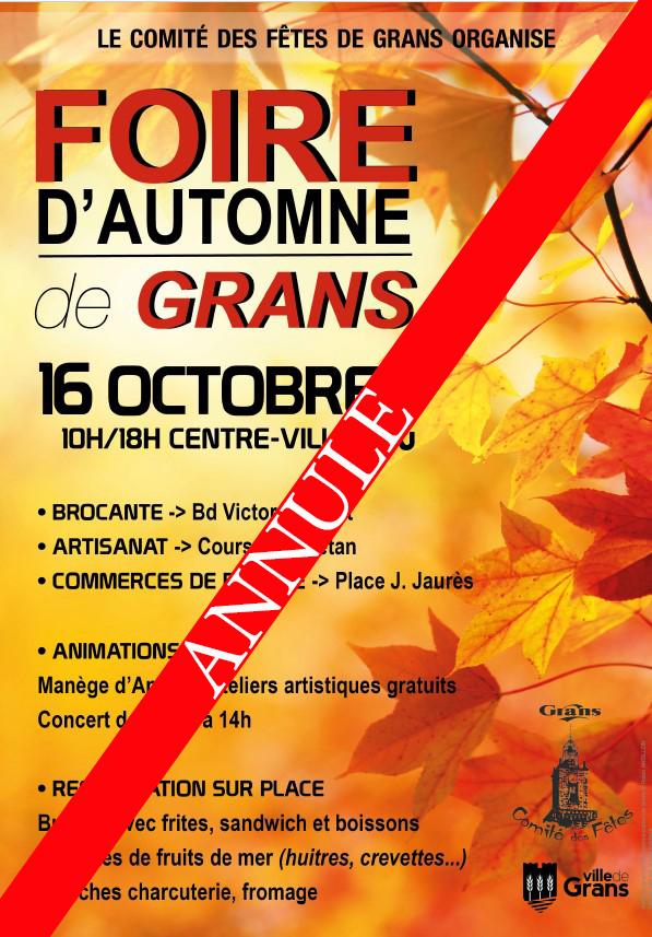 FOIRE D'AUTOMNE - GRANS (13)